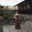 Amaliya_