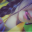 Tutu_TT
