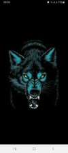 VOLF
