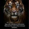 _MuRaDzaDe_