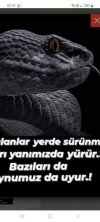 P_a_r_t_i_z_a_n