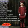medv