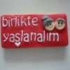 İNSPEKTOR-133