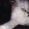 *Milena*