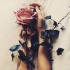 No_promises