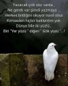 Al_Muallim