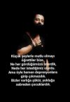 CEHRAYI_PORSCHE